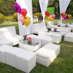 d0089be4448df1f9a64969a43684af38